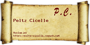 Peltz Cicelle névjegykártya
